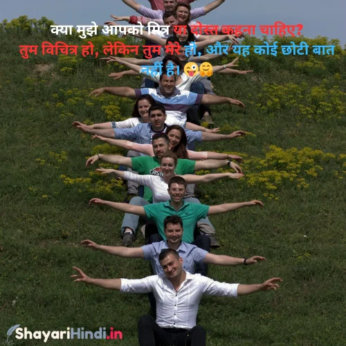 Funny Shayari in Hindi for Friends