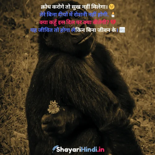 Funny Sorry Shayari