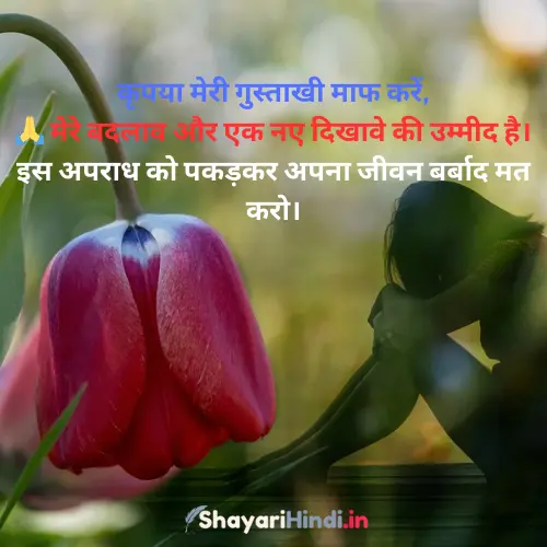 Sorry Shayari for Friend in Hindi