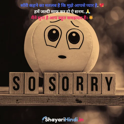 Sorry Shayari